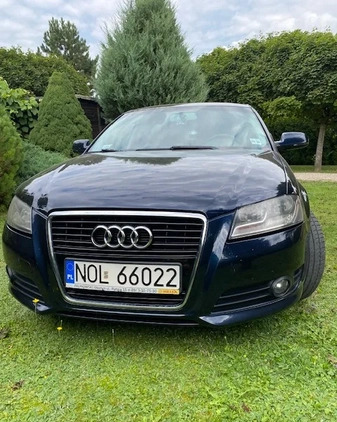 Audi A3 cena 31400 przebieg: 222272, rok produkcji 2011 z Olsztyn małe 211